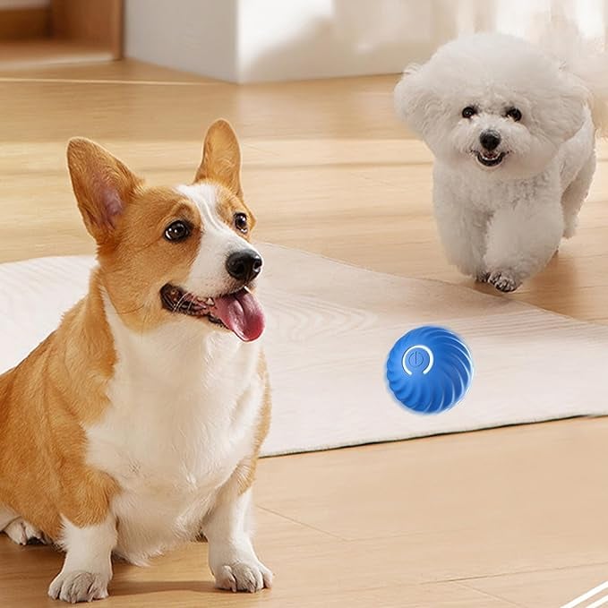 🐕🦺FurryDise™|💎 Durable, Safe & Smart – 🎯🐾The Ultimate Dog Entertainment Ball!