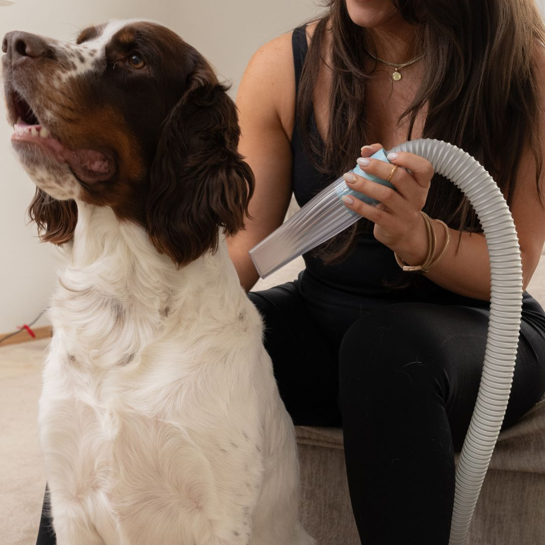 FurryDise ™| Essential 5-in-1 Pet Grooming Kit