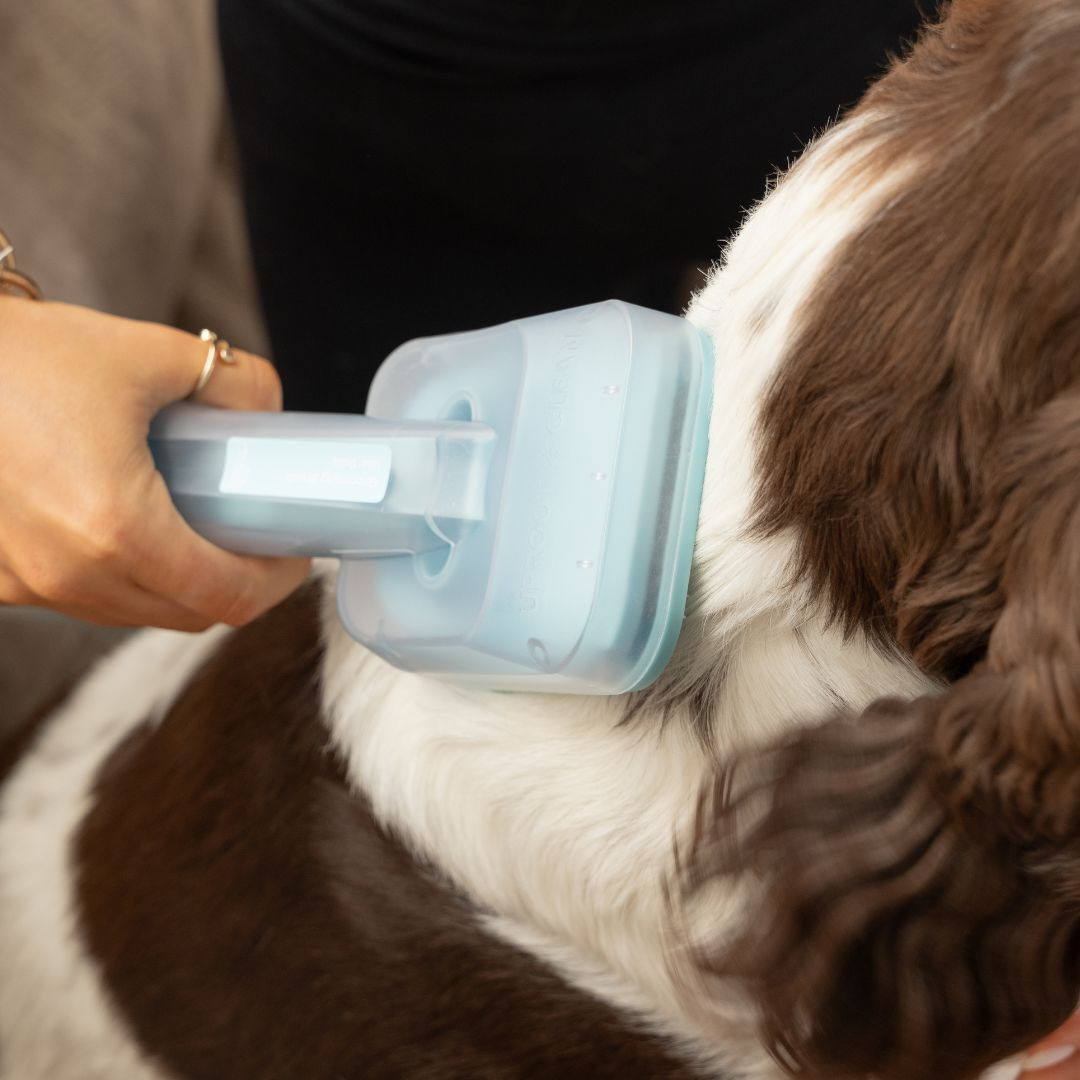 FurryDise ™| Essential 5-in-1 Pet Grooming Kit