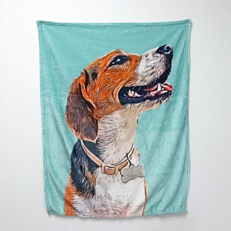 Custom Pet Photo Drawing Cartoon Blanket, Draw Head/Body