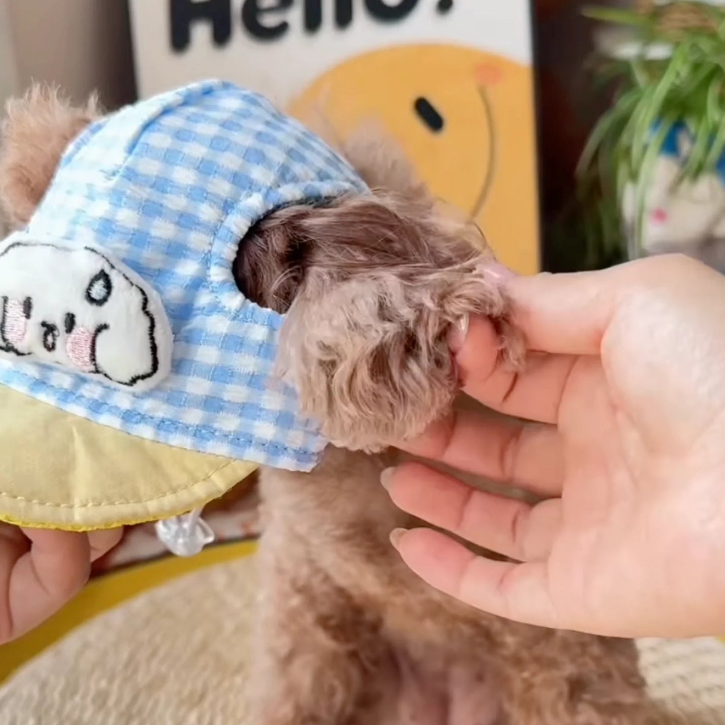 FurryDise™ Summer Dog Outfit