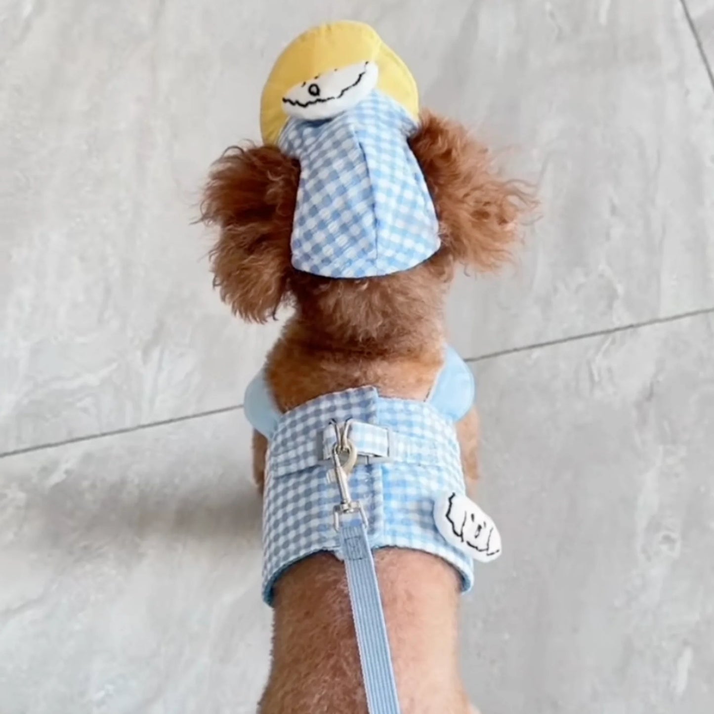 FurryDise™ Summer Dog Outfit