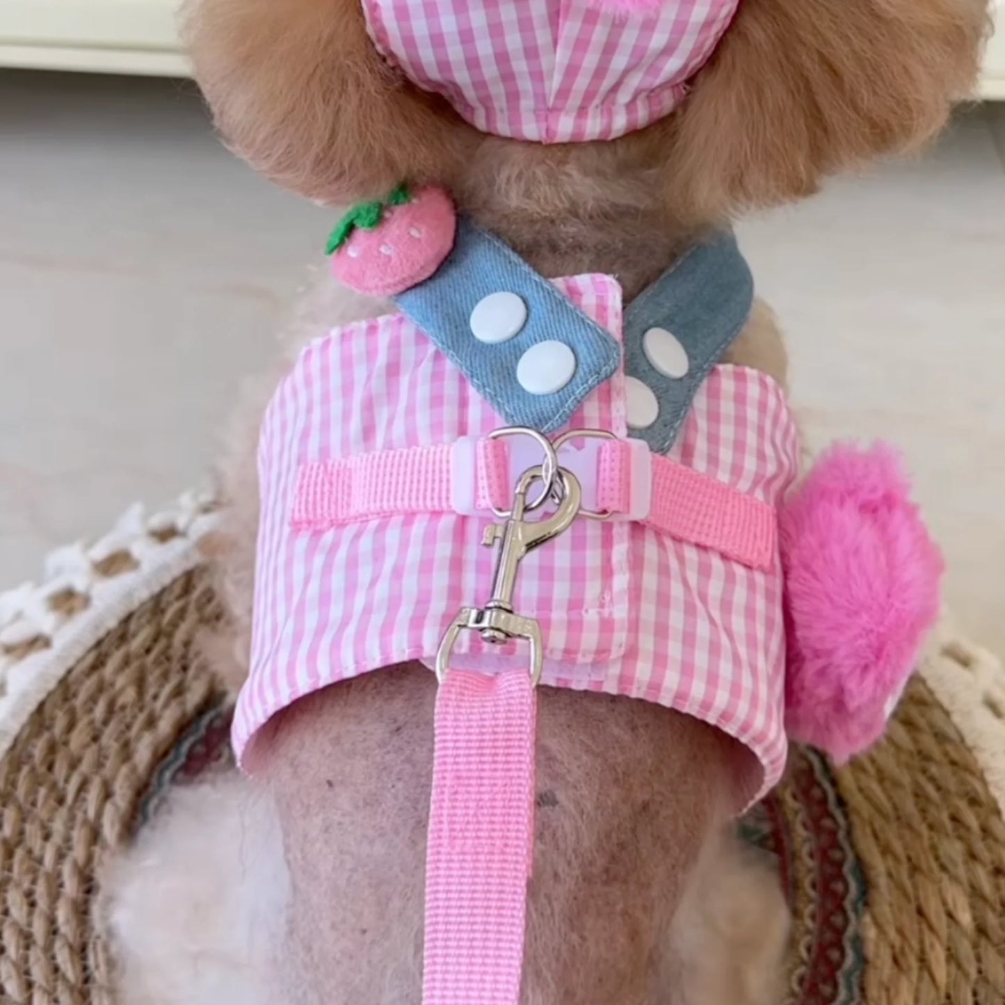 FurryDise™ Summer Dog Outfit