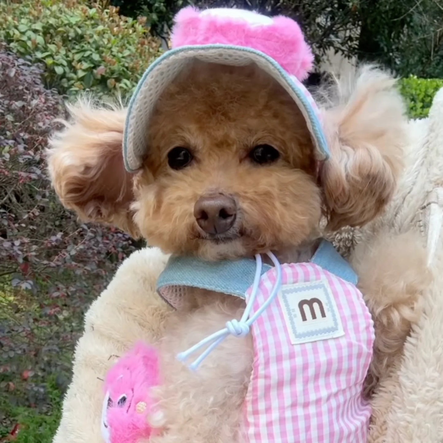 FurryDise™ Summer Dog Outfit
