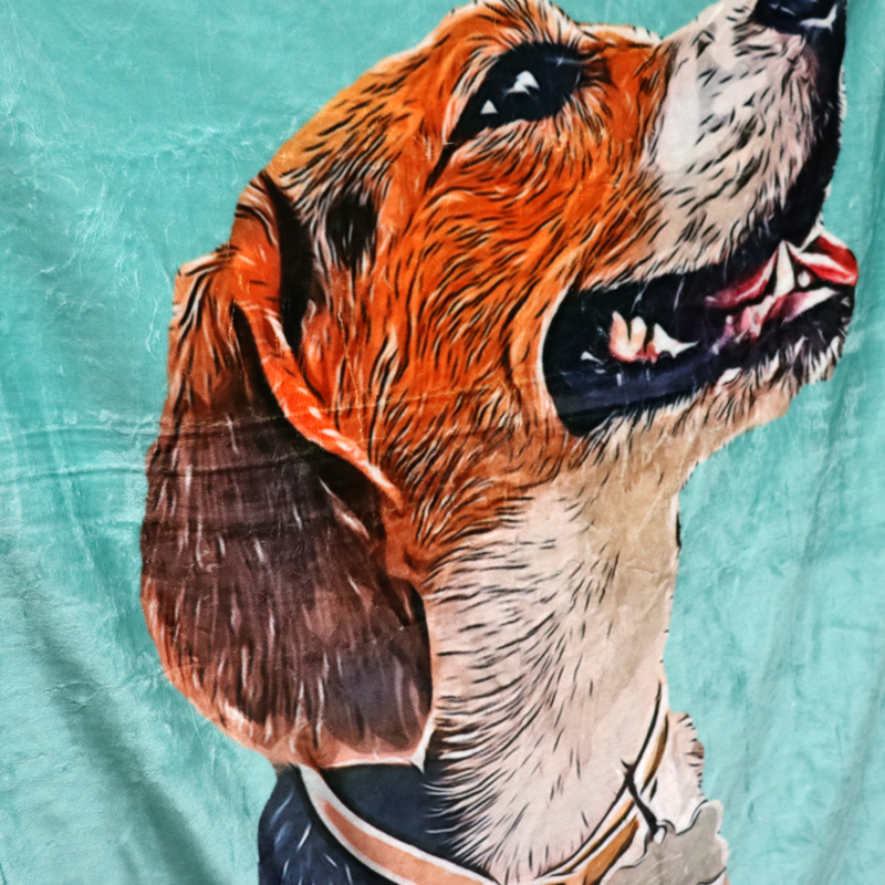 Custom Pet Photo Drawing Cartoon Blanket, Draw Head/Body