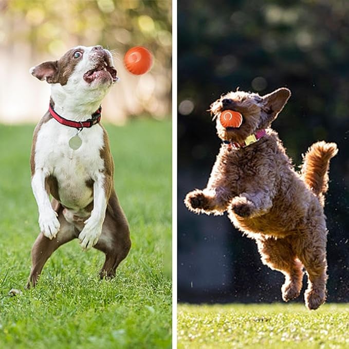 🐕🦺FurryDise™|💎 Durable, Safe & Smart – 🎯🐾The Ultimate Dog Entertainment Ball!