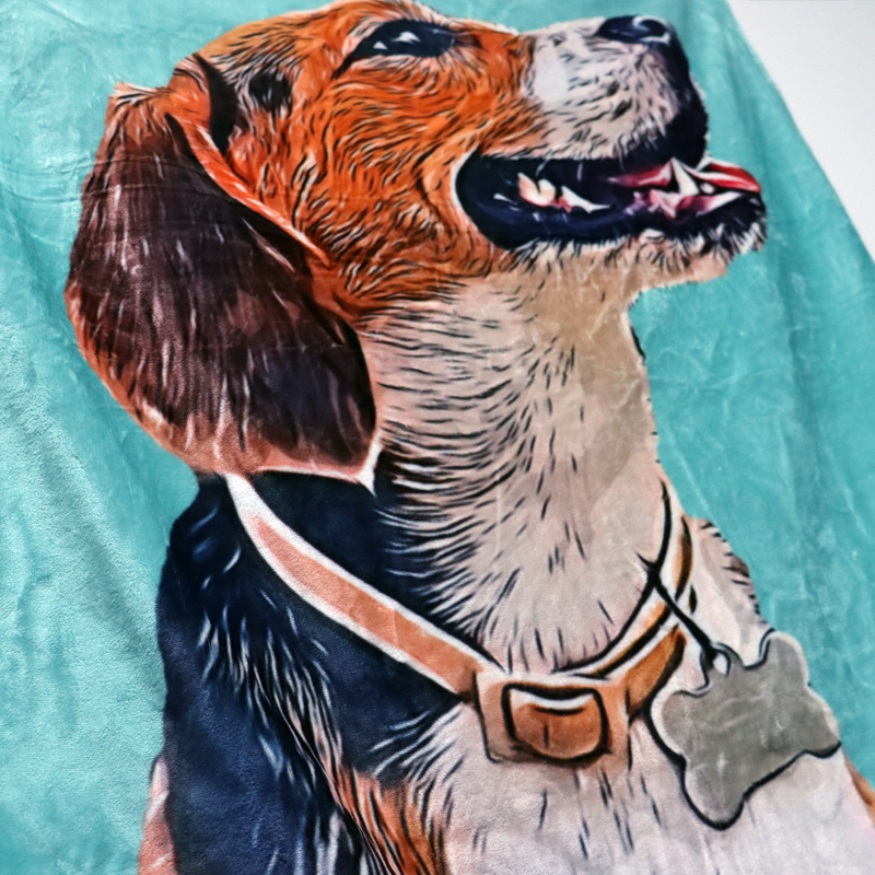 Custom Pet Photo Drawing Cartoon Blanket, Draw Head/Body