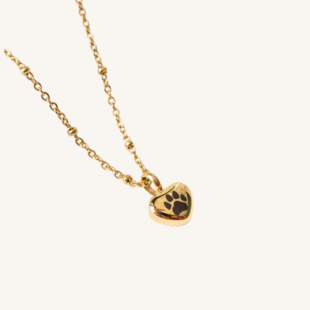 Heart Personalized Pet Paw Print Urn Necklace