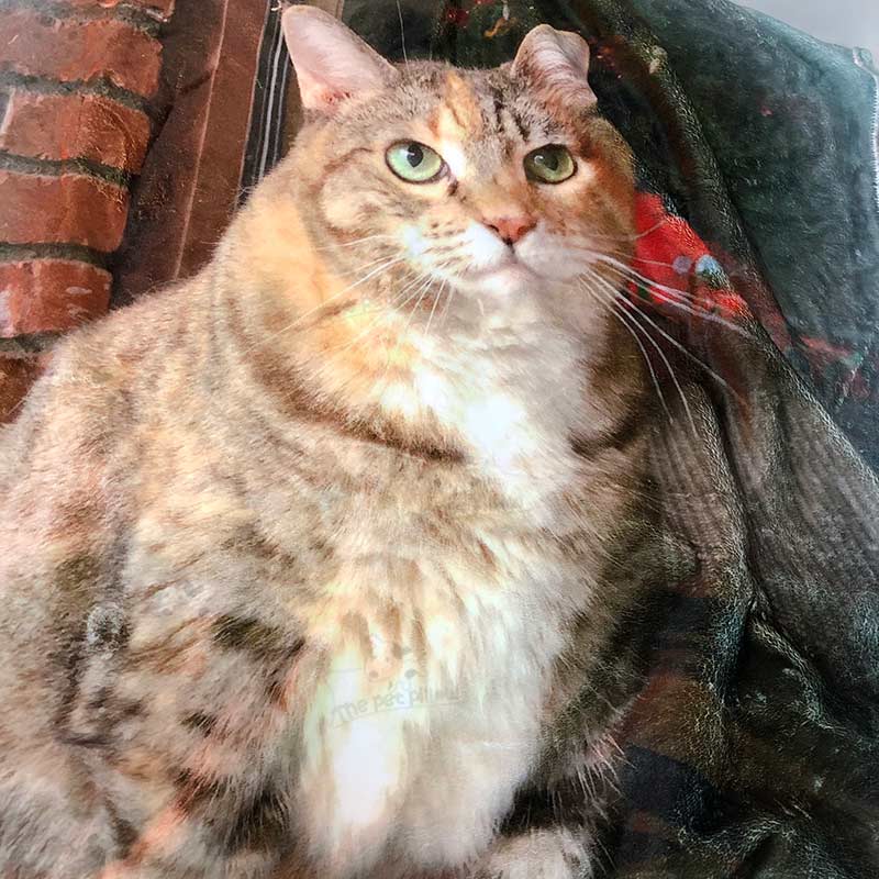 Custom Pet Print Fleece Blanket from Your Pet Photo