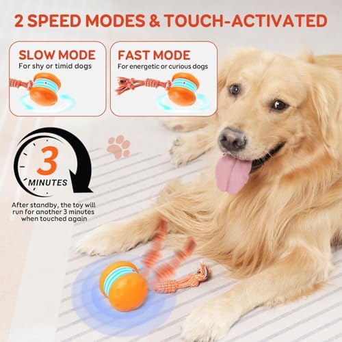 ZoomiRope™ - The Smart Rolling Toy That Brings Endless Fun to Bored Dogs