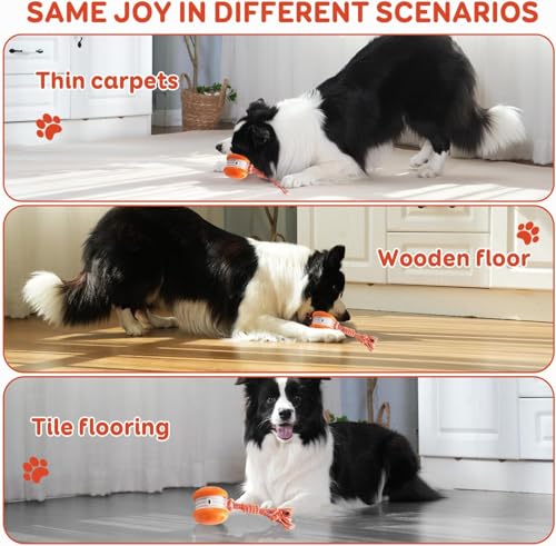 ZoomiRope™ - The Smart Rolling Toy That Brings Endless Fun to Bored Dogs