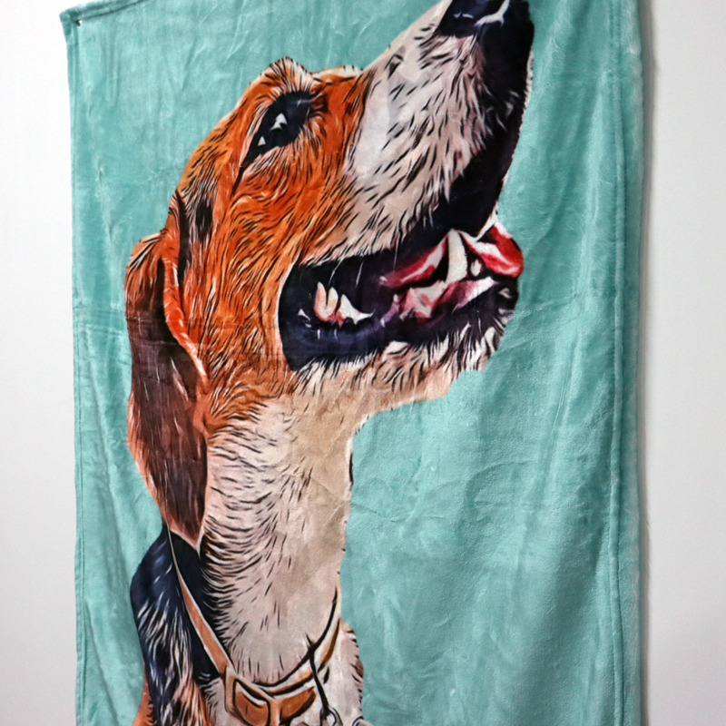 Custom Pet Photo Drawing Cartoon Blanket, Draw Head/Body