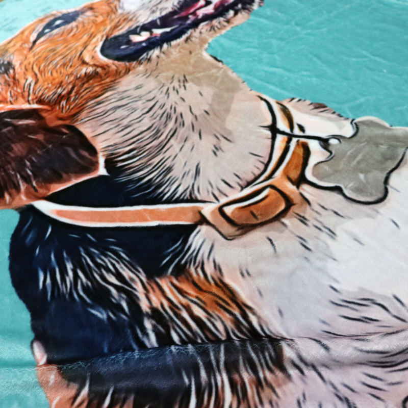 Custom Pet Photo Drawing Cartoon Blanket, Draw Head/Body