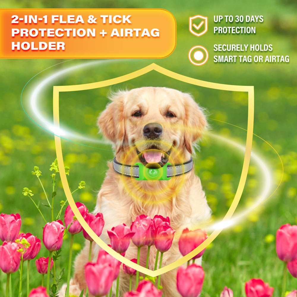 Natural Anti-Flea & Tick Pendant