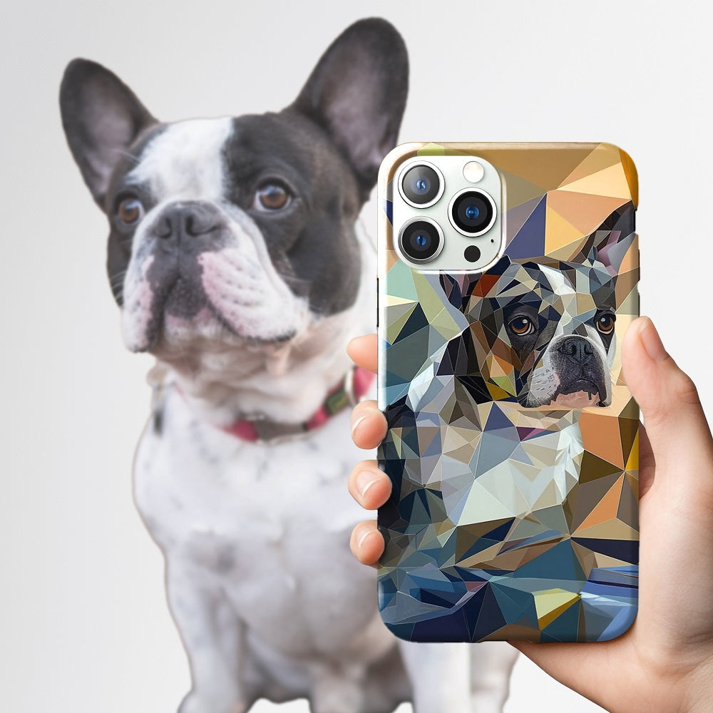 FurryDise-Cubism Art-Geometry Phone Case