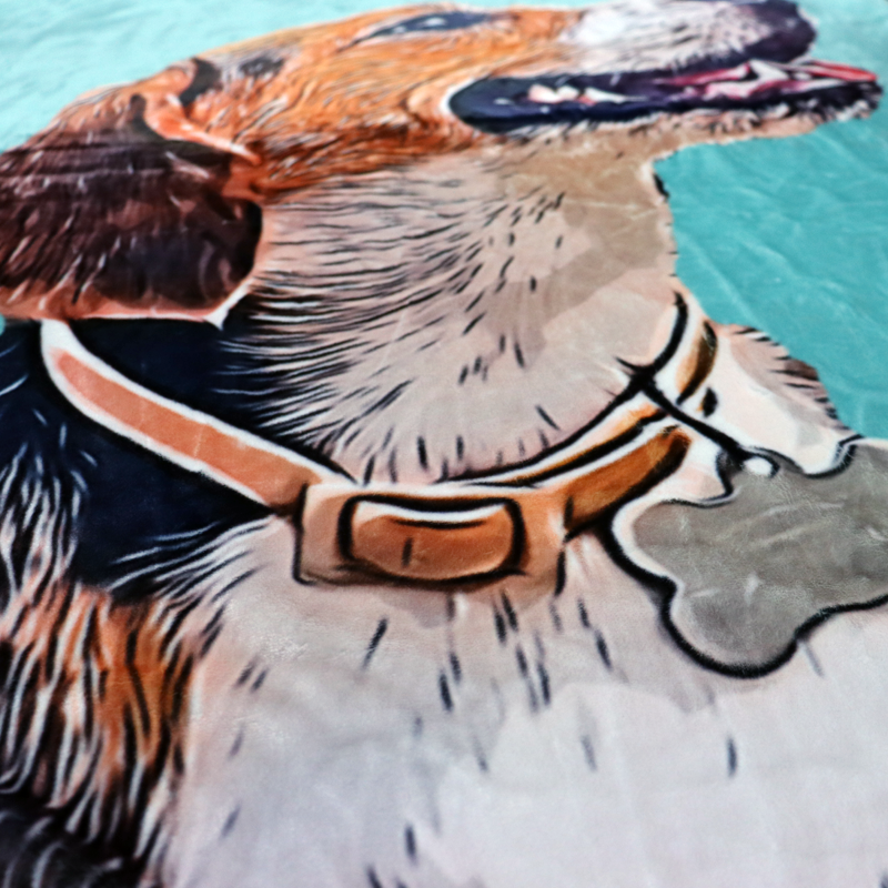 Custom Pet Photo Drawing Cartoon Blanket, Draw Head/Body