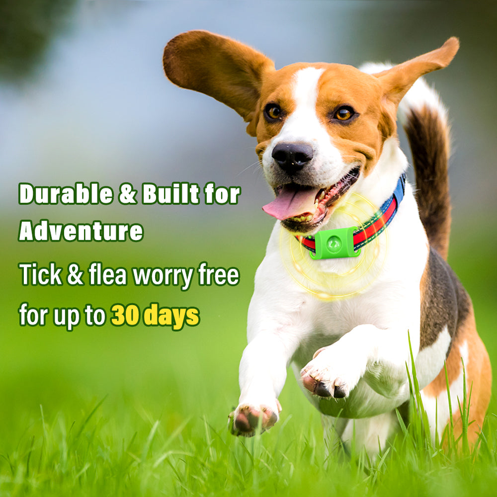 Natural Anti-Flea & Tick Pendant
