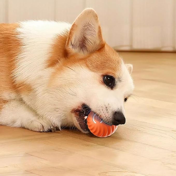🐕🦺FurryDise™|💎 Durable, Safe & Smart – 🎯🐾The Ultimate Dog Entertainment Ball!