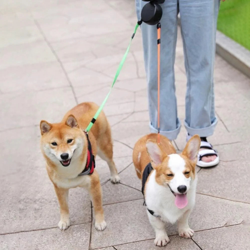 GlowLeash Duo™ – LED Dual Retractable Dog Leash for Small Dogs