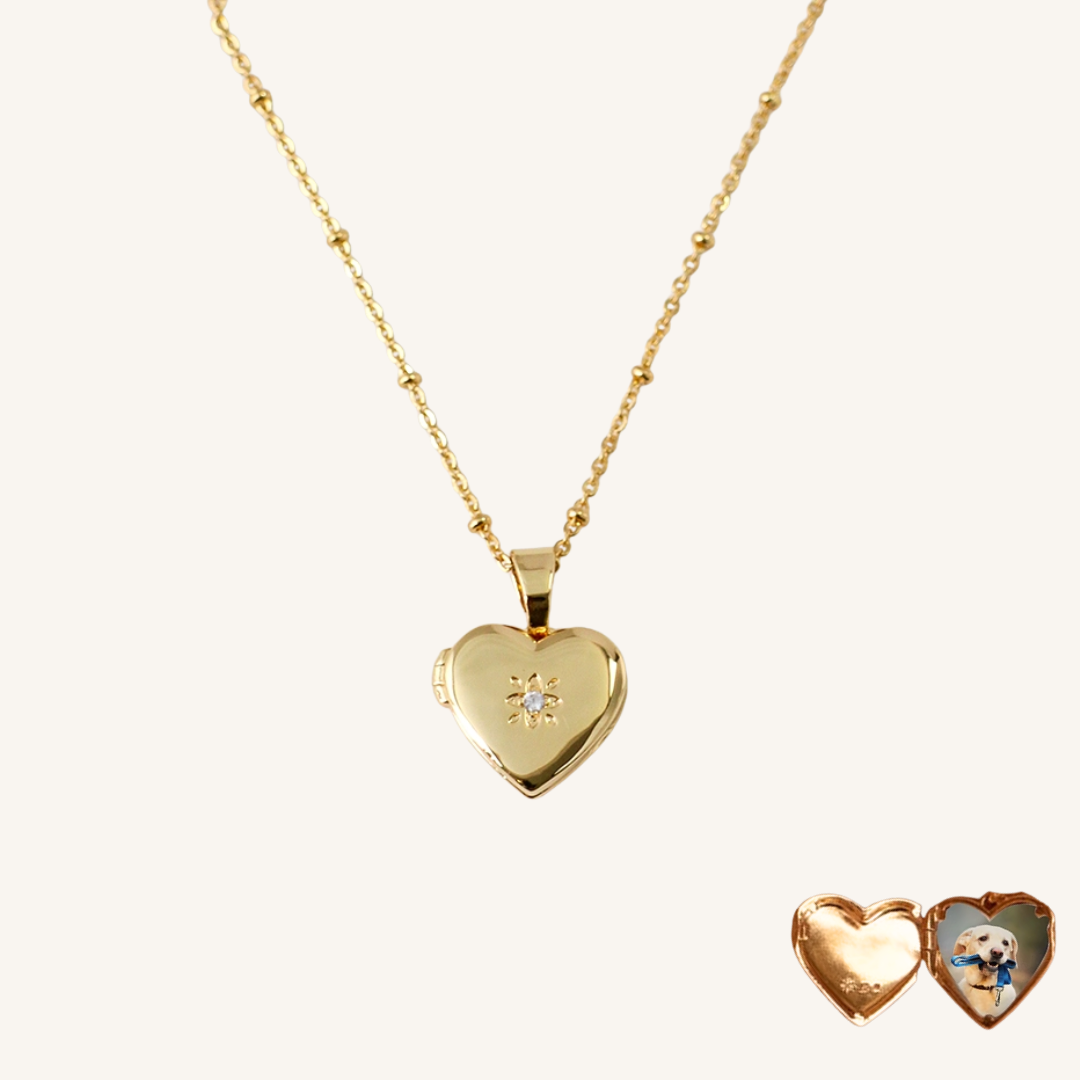 Heart Pet Memorial Gift Photo Locket Necklace
