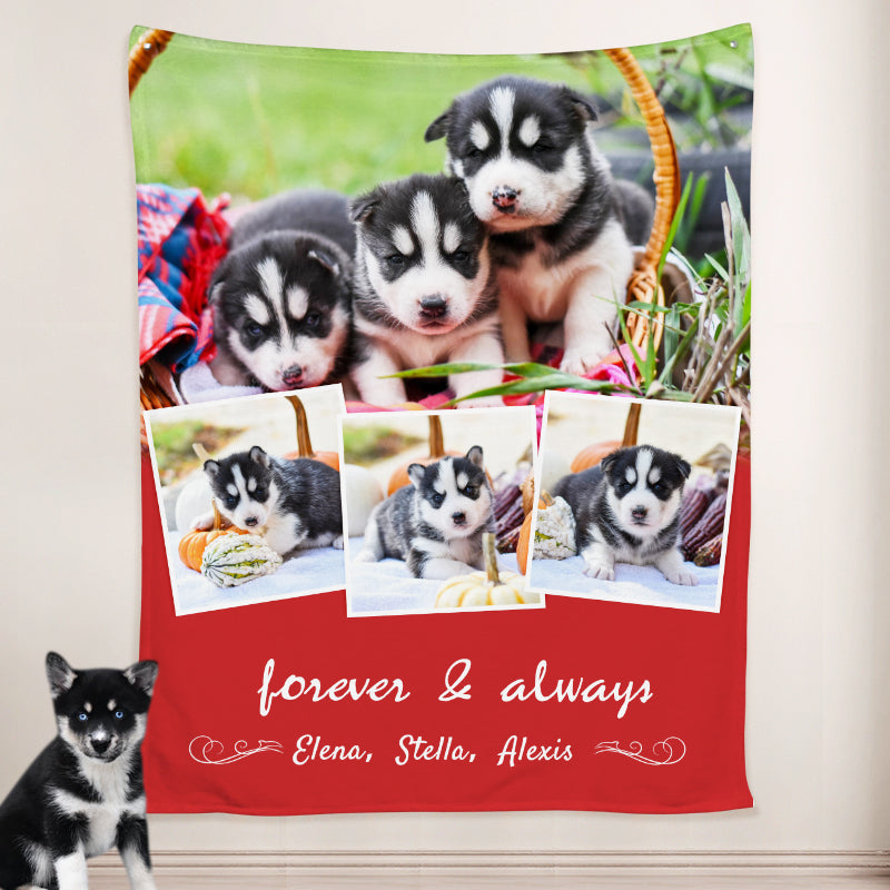 Photo Blanket Personalized with Pet Pictures, Custom Dog Blankets from Pet Photo