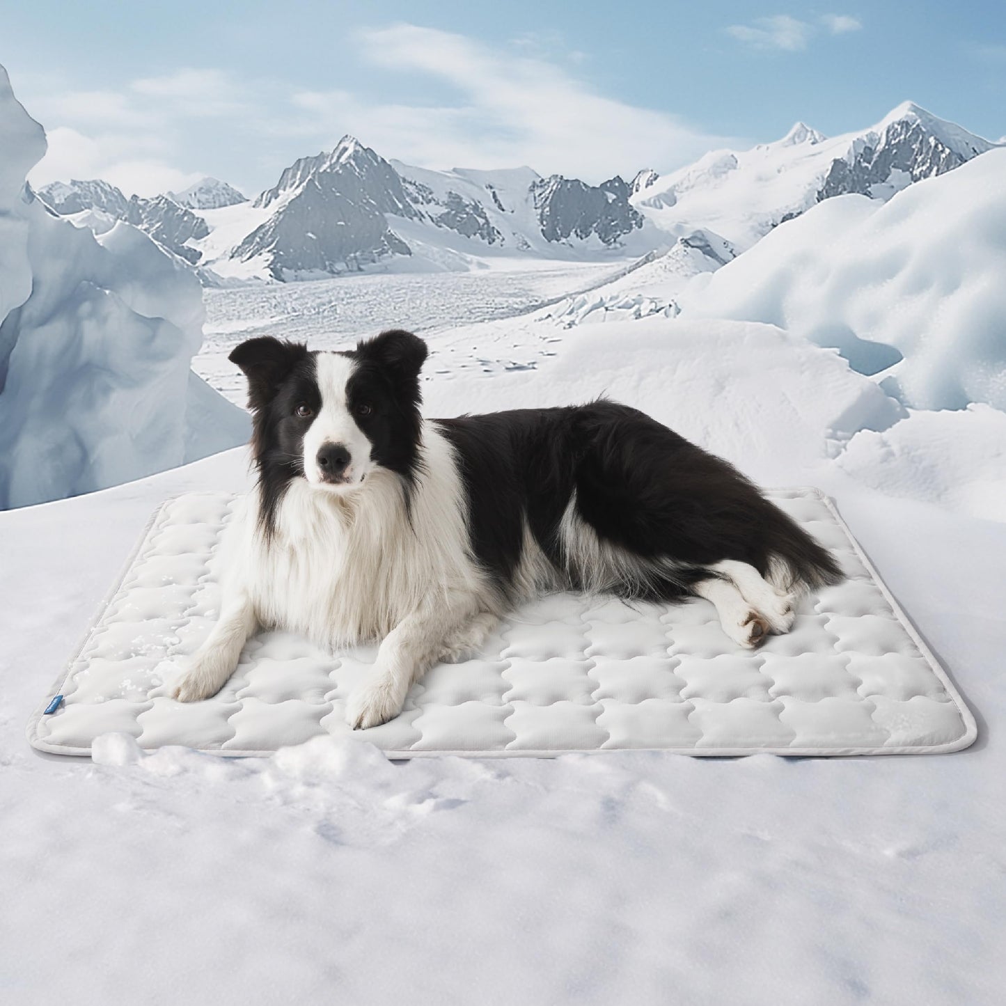 CoolNest™ Arc-Chill Pet Mat