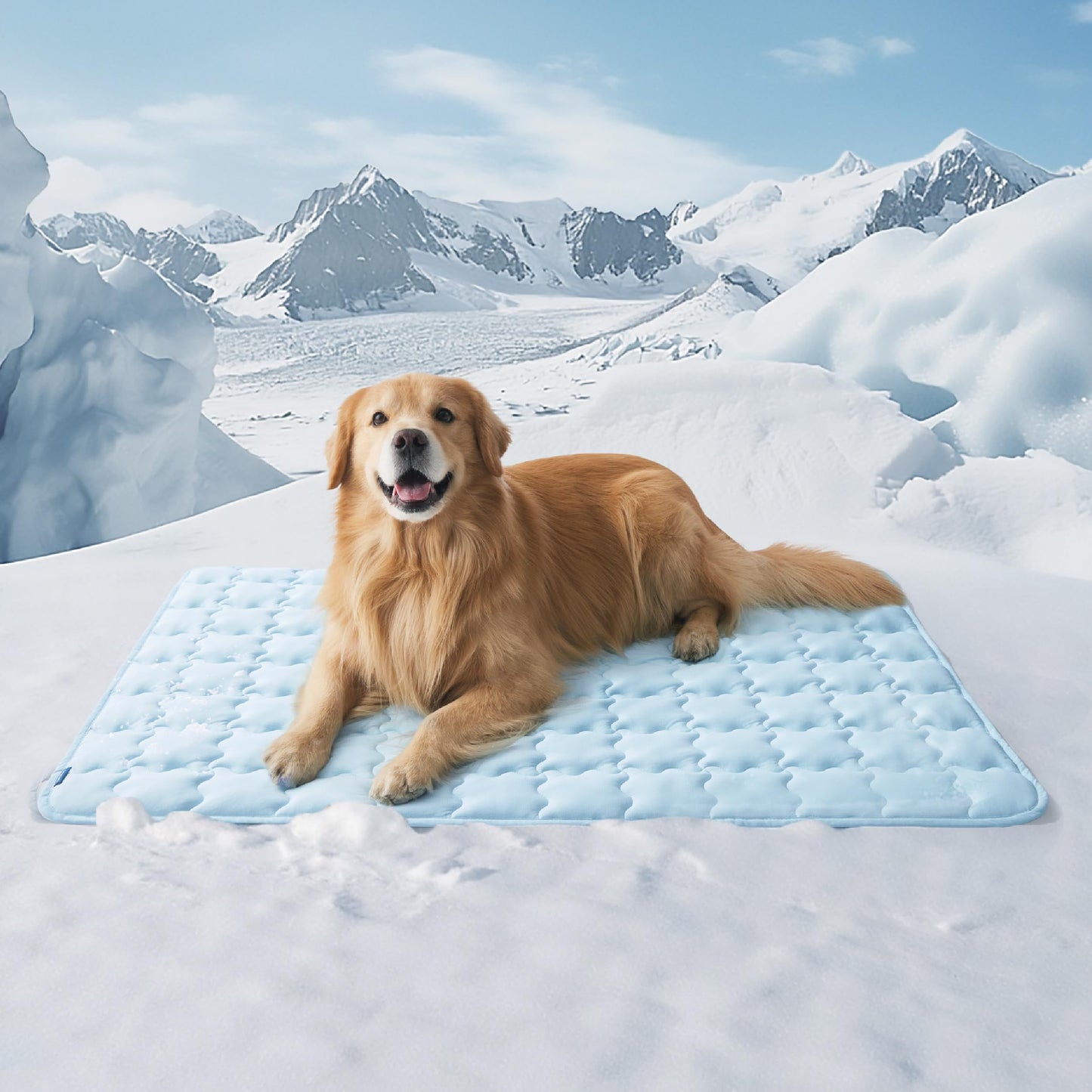CoolNest™ Arc-Chill Pet Mat