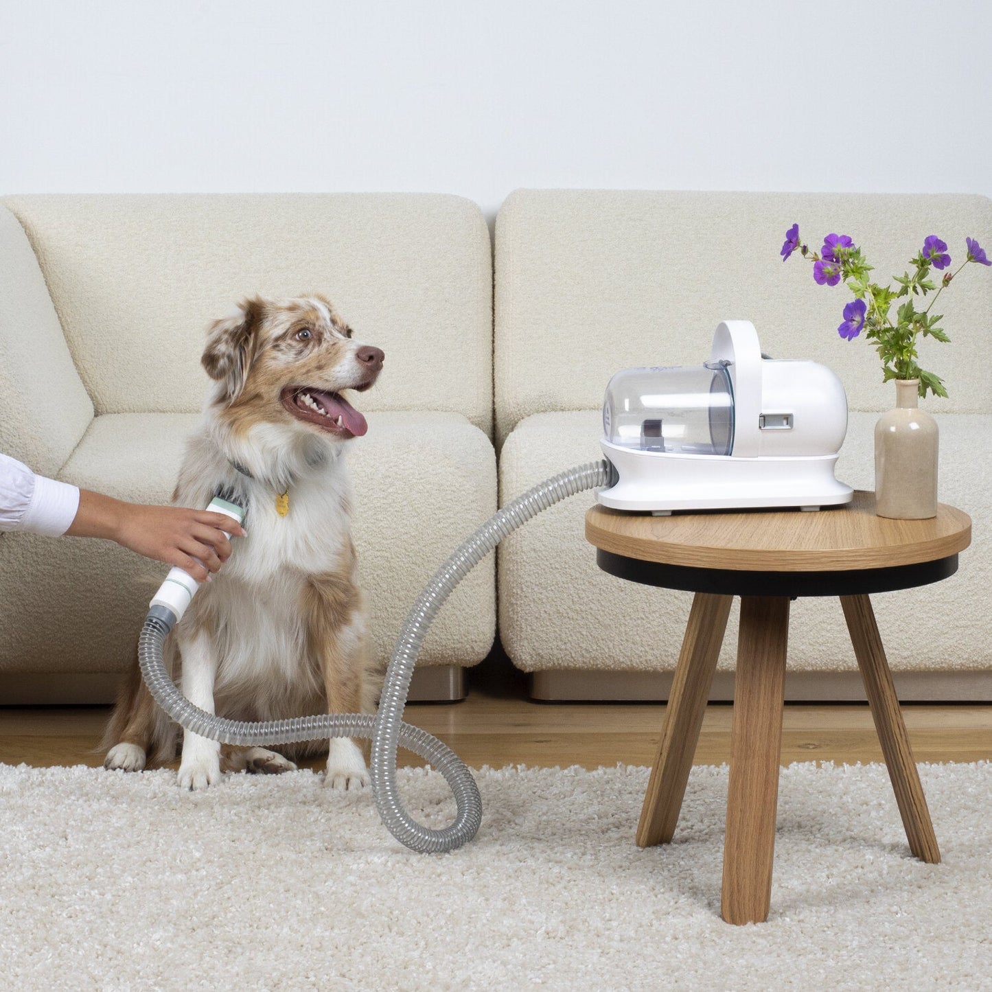 FurryDise ™| Essential 5-in-1 Pet Grooming Kit