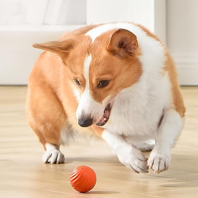 🐕🦺FurryDise™|💎 Durable, Safe & Smart – 🎯🐾The Ultimate Dog Entertainment Ball!