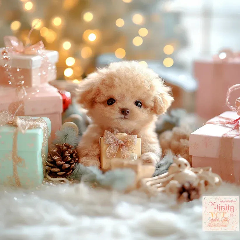 đ¶đ¶NICOO - My Realistic Robot Puppy