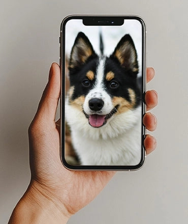 Step 2: Submit visual inspiration – Share photos, designs, or ideas to create a custom pet memorial urn that reflects your pet’s unique spirit.