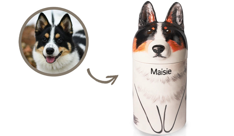 Traditional pet urns vs. ceramic pet urns – a comparison of durability, design, and suitability for pet memorials.