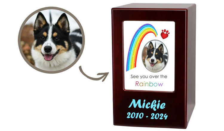 Traditional pet urns vs. ceramic pet urns – a comparison of durability, design, and suitability for pet memorials