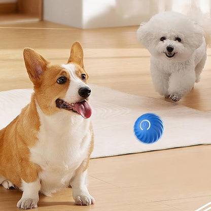 🐕‍🦺FurryDise™|💎 Durable, Safe & Smart – 🎯🐾The Ultimate Dog Entertainment Ball!