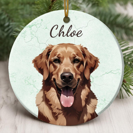 Custom Pet Ornament - Furrydise