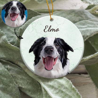 FurryDise-Custom Pet Ornament