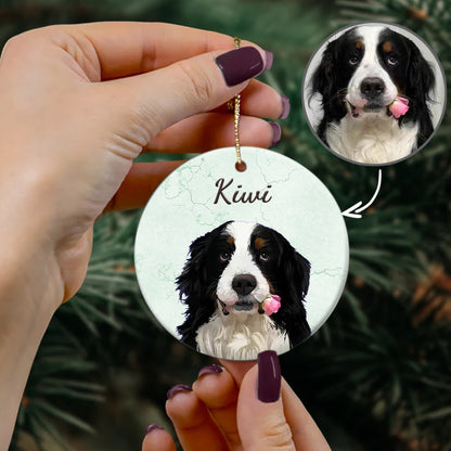 FurryDise-Custom Pet Ornament