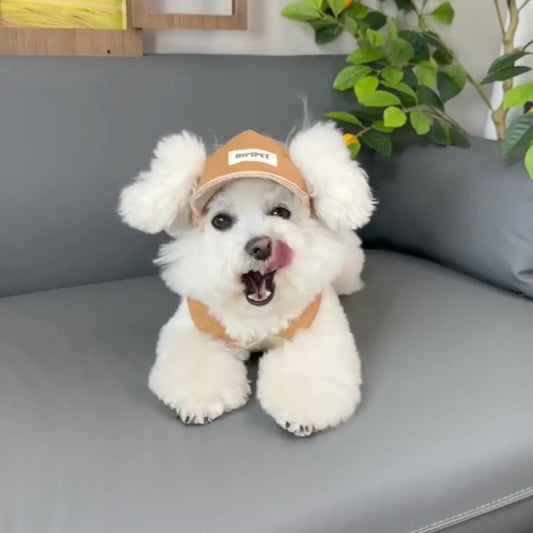 FurryDise™ Summer Dog Outfit