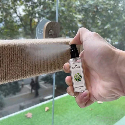 FurryDise™|Herbal Cat Joy Spray – Turn Any Spot into Your Cat’s Favorite Place Instantly!