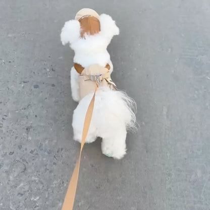 FurryDise™ Summer Dog Outfit
