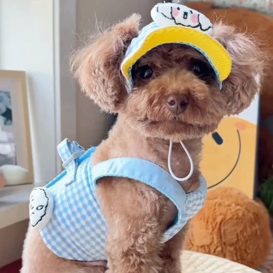 FurryDise™ Summer Dog Outfit