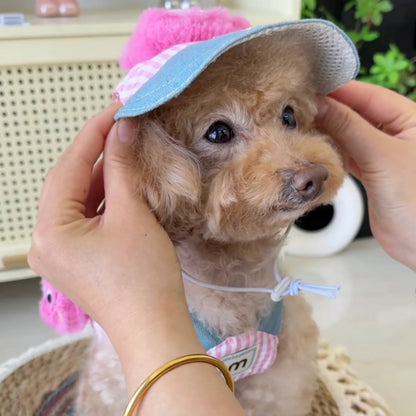 FurryDise™ Summer Dog Outfit