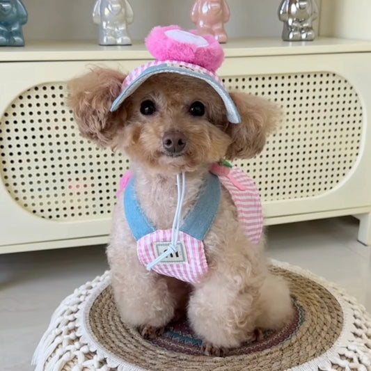 FurryDise™ Summer Dog Outfit