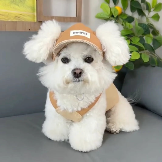 FurryDise™ Summer Dog Outfit