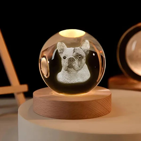 Custom 3D Photo Crystal Ball