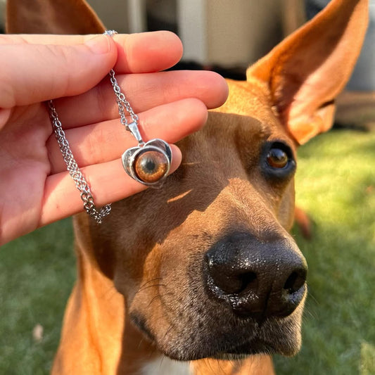 FurryDise-Pet Eye Necklace