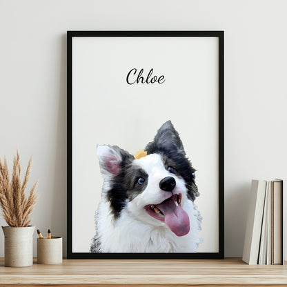 Modern Pet Portrait