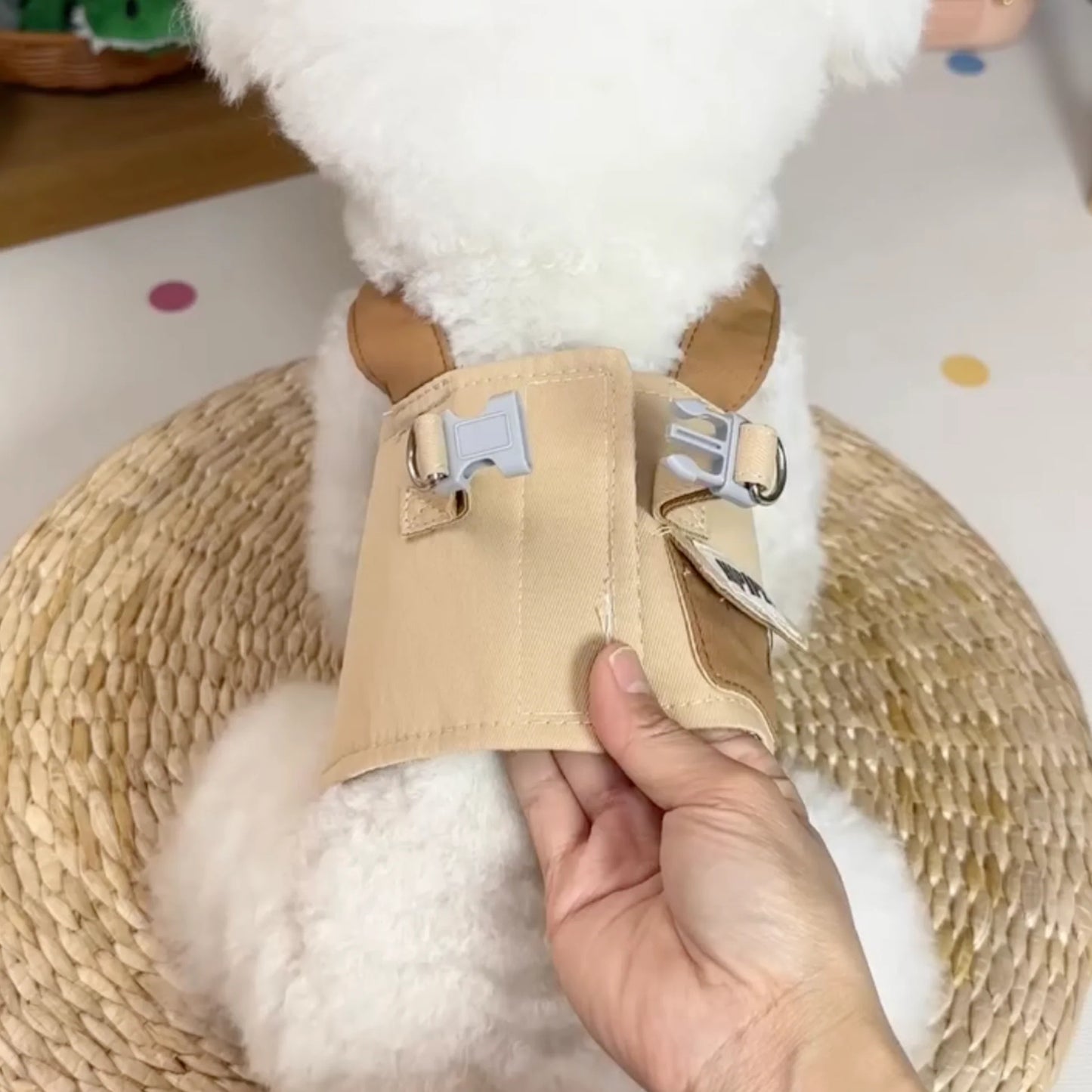 FurryDise™ Summer Dog Outfit