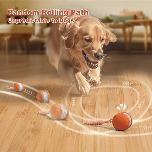 ZoomiRope™ - The Smart Rolling Toy That Brings Endless Fun to Bored Dogs