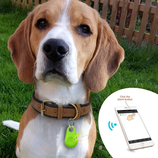 📱FurryDise™|🐶✨Smart Bluetooth Pet Tracker – Never Lose Your Pet Again!